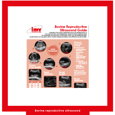 Free Download: Bovine Reproduction Ultrasound Guide